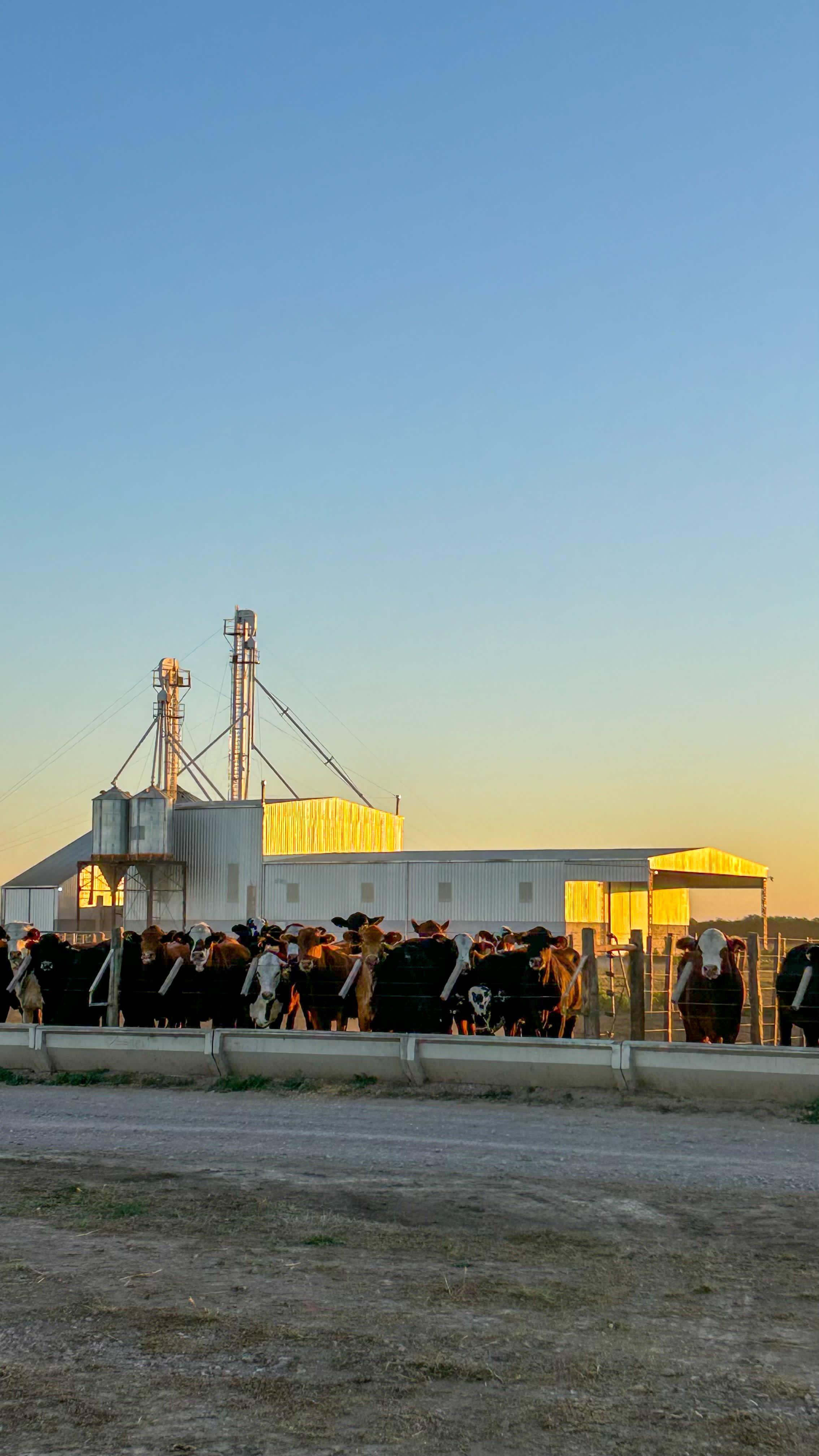 Vista general de la planta